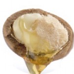 Bio Marokkói argánolaj