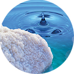 Holt-tengeri ásványok