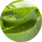 Bio Aloe Vera