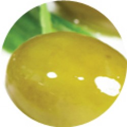 Dr  Organic Bio Szűz olívaolaj